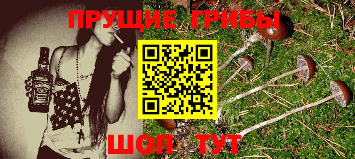 Галлюциногенные грибы GOLDEN TEACHER Алапаевск