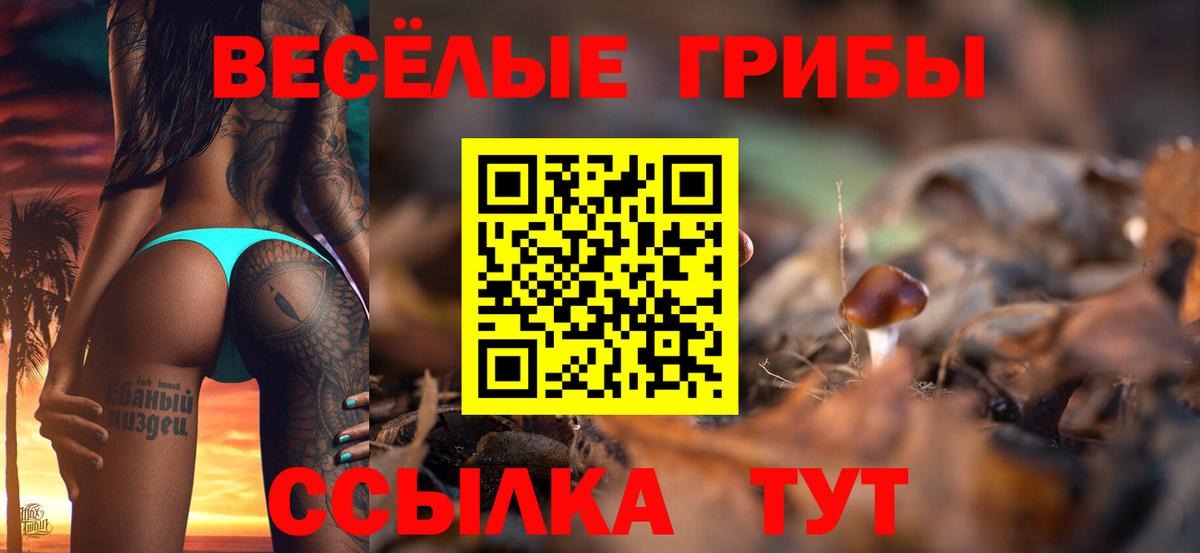 Псилоцибиновые грибы Magic Shrooms  Вход с VPN  Алапаевск 
